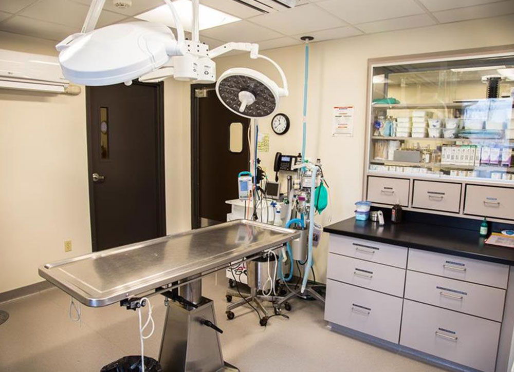 A clean, modern medical examination room with a stainless steel table, overhead surgical lights, medical equipment, cabinets, and a window showing shelves with supplies in an adjacent room.