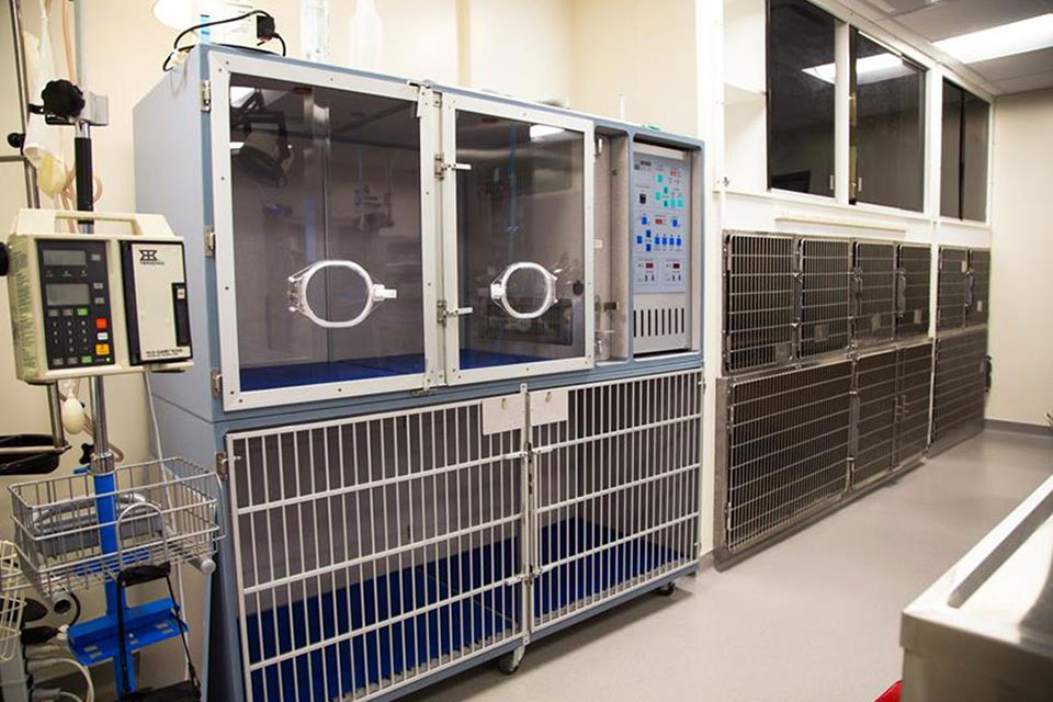 A veterinary clinic room with metal cages along one wall and a large oxygen chamber with clear doors, arm ports, and control panels opposite an IV infusion pump on a stand.